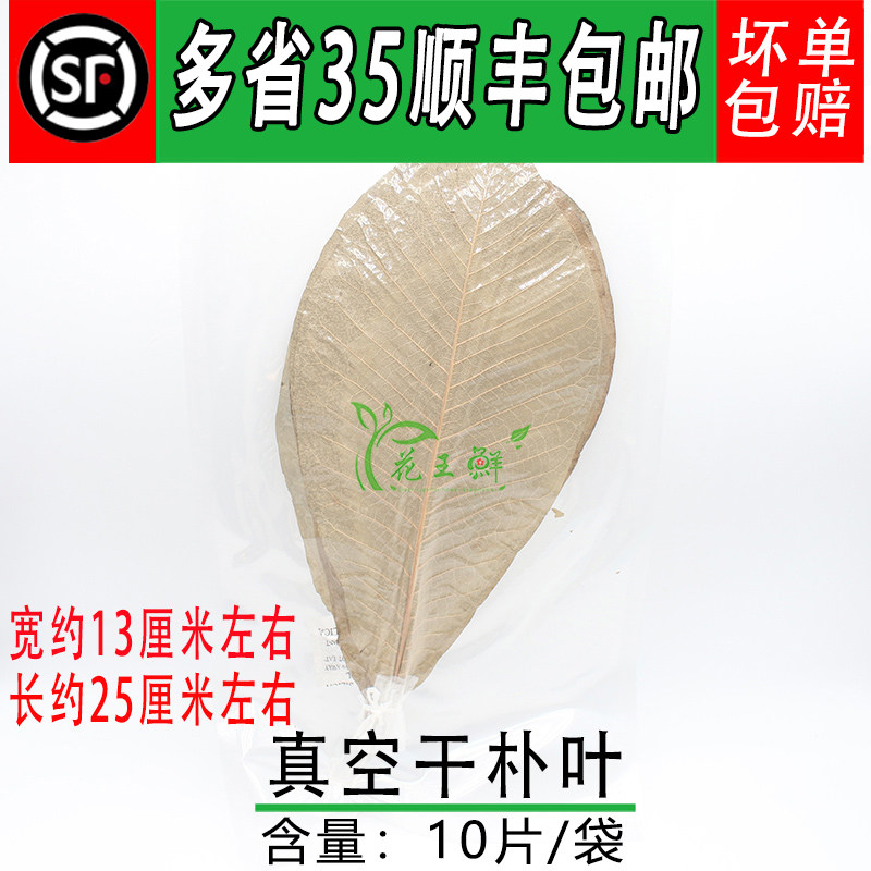 日式料理干朴叶 丹麦叶蒲叶 刺身烧烤肉鲜青朴叶寿司竹叶摆盘装饰