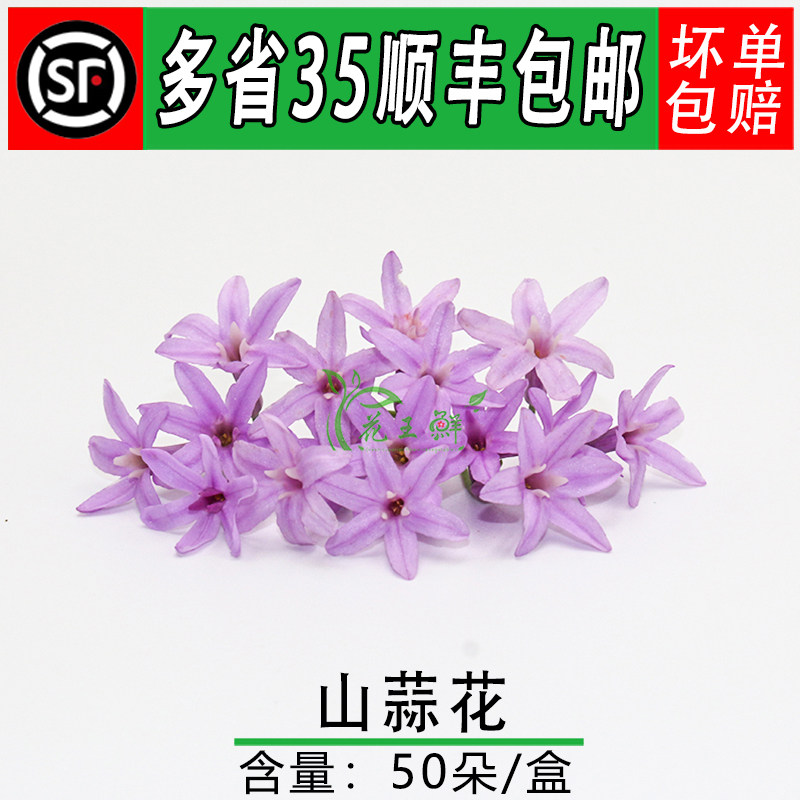 山蒜花 新鲜 星光璀璨花非五星花西餐餐厅日料酒店摆盘装饰鲜花草