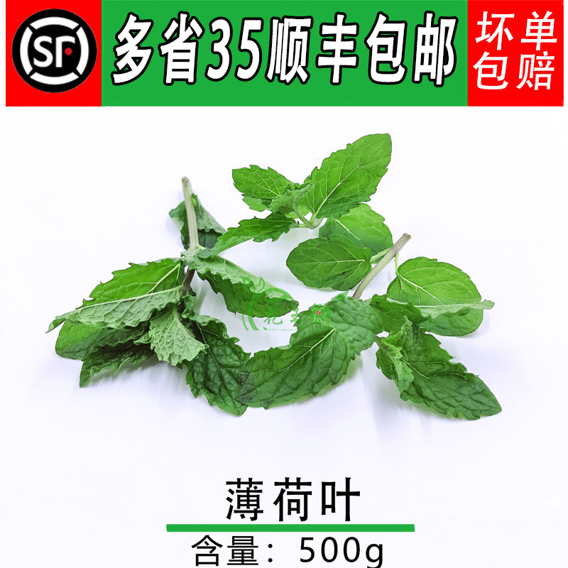 新鲜 薄荷叶散称留兰香食用蔬菜 清凉调酒泡茶西餐香料调料500
