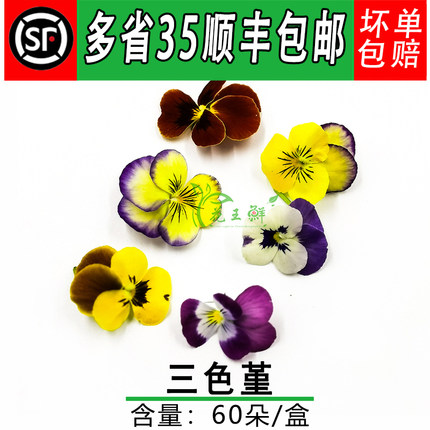 精选三色堇 角堇 鸢尾花 60朵/盒 西餐冷艺 酒店餐饮摆盘装饰