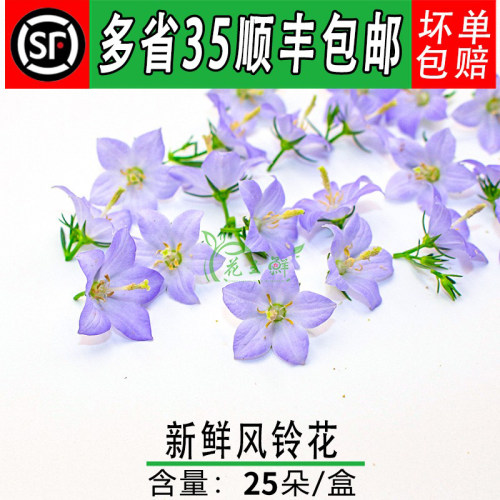 风铃花酒店餐饮摆盘装饰