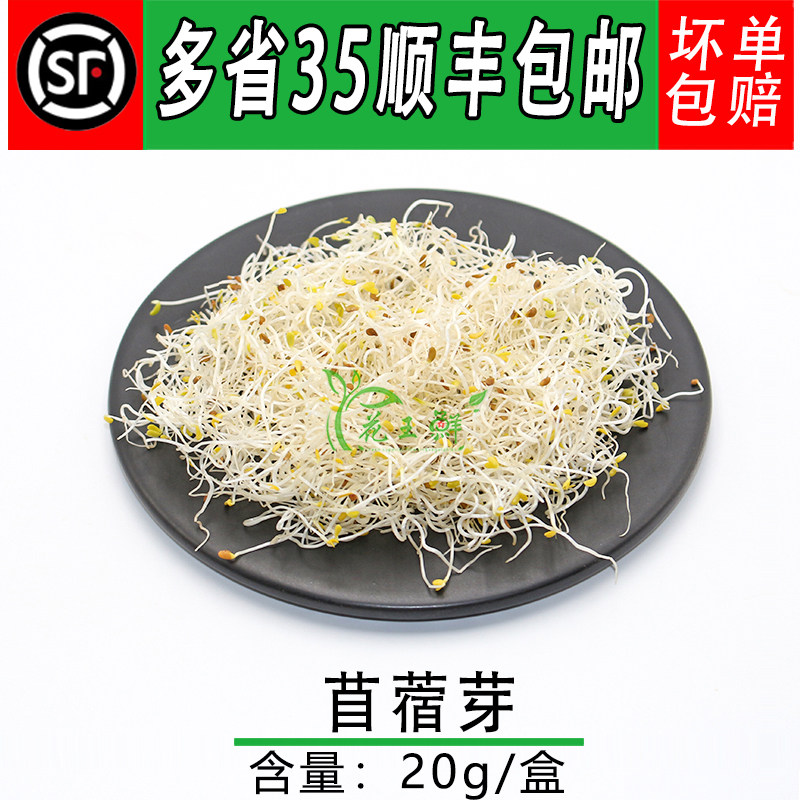 新鲜苜蓿芽轻食素食凉拌菜
