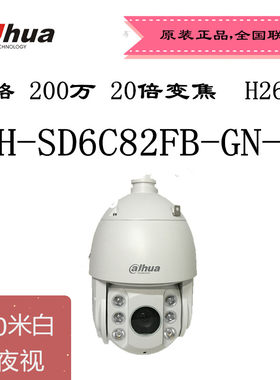 大华200万网络摄像机