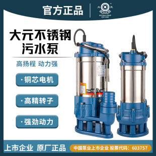 浙江大元 水泵不锈钢污水泵化粪池污水工业农业水泵220v380v污水泵