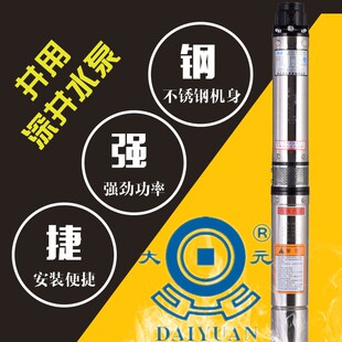 大元 8方 水泵不锈钢深井泵220V380V大流量高扬程农用工业深水泵6