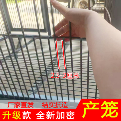 狗狗实心钢筋加厚耐咬