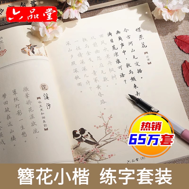 六品堂簪花小楷字帖女生字体漂亮卫夫人大学生清秀钢笔楷书成人练习正楷硬笔书法古风手写临摹描红男大气霸气网红行楷练字帖本成年