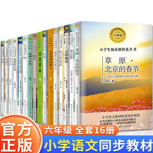 六年级上册必读的课外书小学语文同步阅读老师推荐爱的教育草原北京的春节竹节人花之歌会走路的梦铁凝散文集京剧趣谈丁香结呐喊