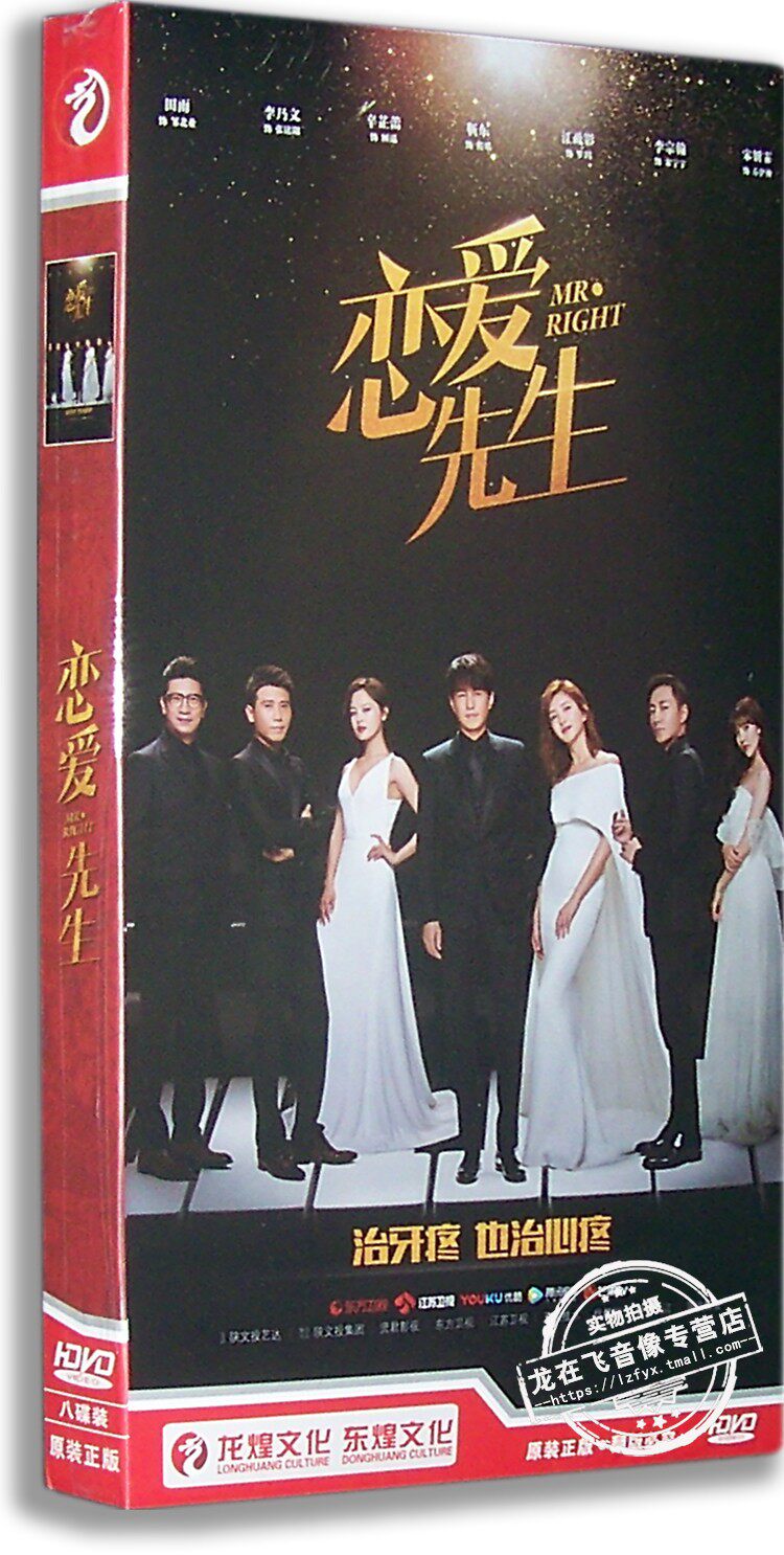 正版电视剧 恋爱先生8DVD经济版盒装碟片45集光盘靳东田雨李乃文