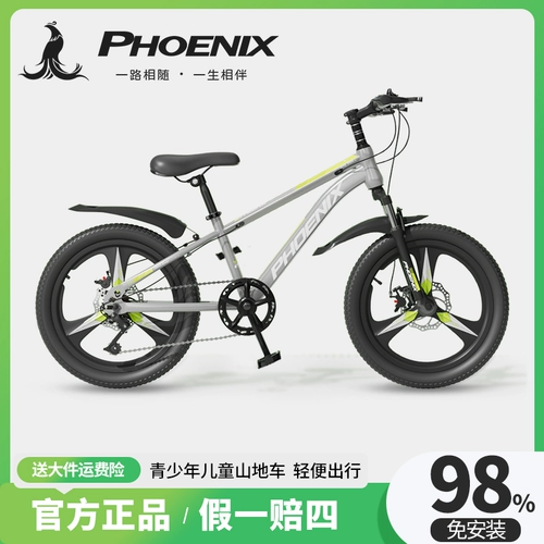 Phoenix, детский горный велосипед для мальчиков для школьников и студентов, 6-8-12-15 лет, 20 дюймов, новая коллекция