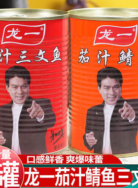 龙一茄汁鲭鱼罐头 茄汁三文鱼罐头番茄味即食海鲜鱼肉水产下饭菜