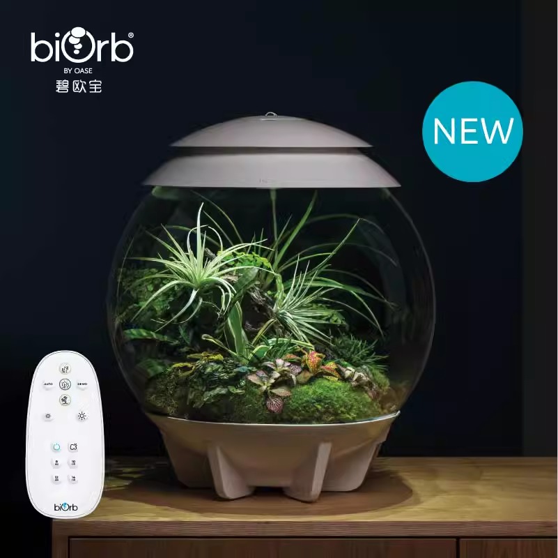 碧欧宝air系列30L小型植物缸爬虫缸家用客厅办公亚克力桌面微景观