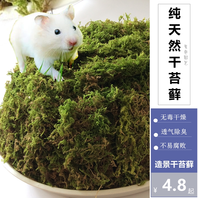 乌龟仓鼠筑巢运输垫材天然干苔藓