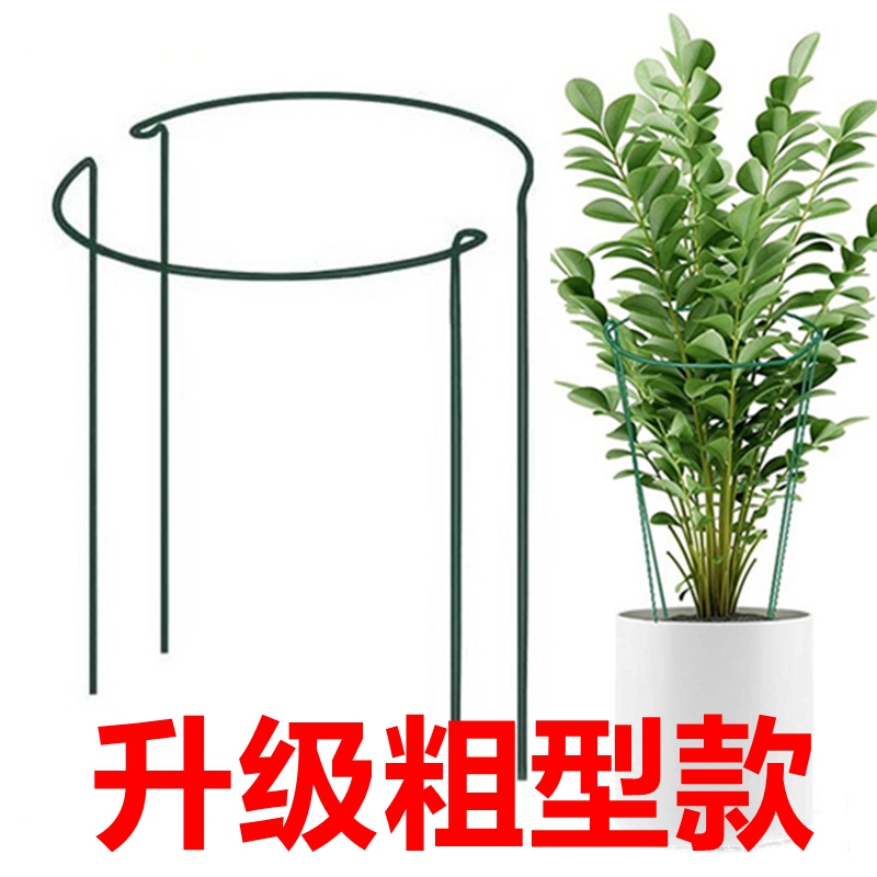 龟背竹防倒支撑固定半圆花支架子图片