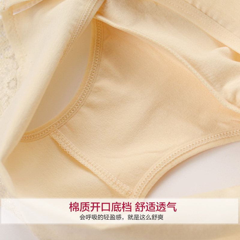 Slip jeunesse KZ320 en coton - Ref 666656 Image 4