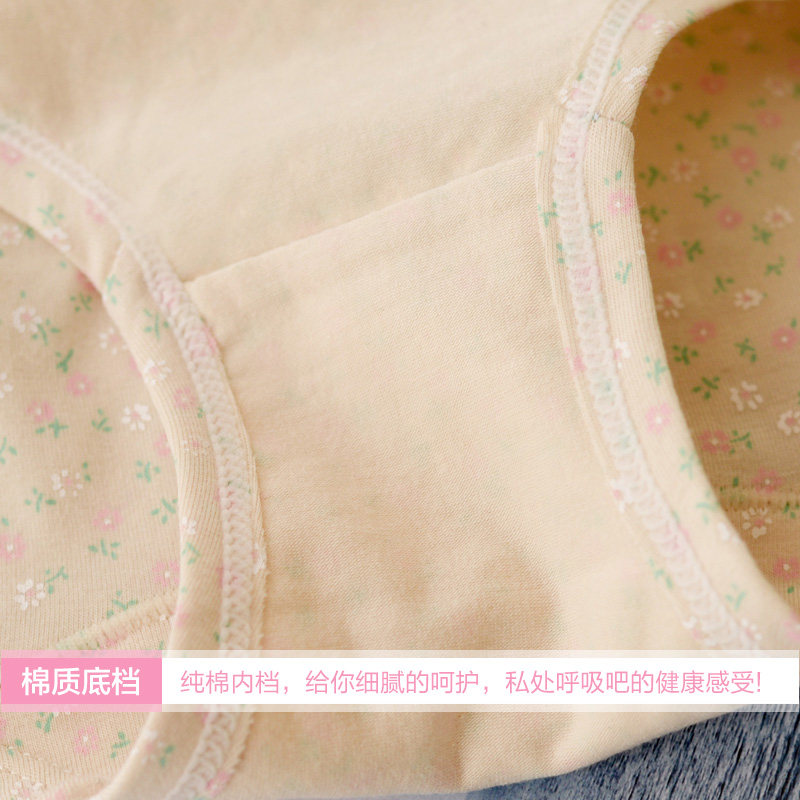 Slip jeunesse KZ315 en coton - Ref 666647 Image 4