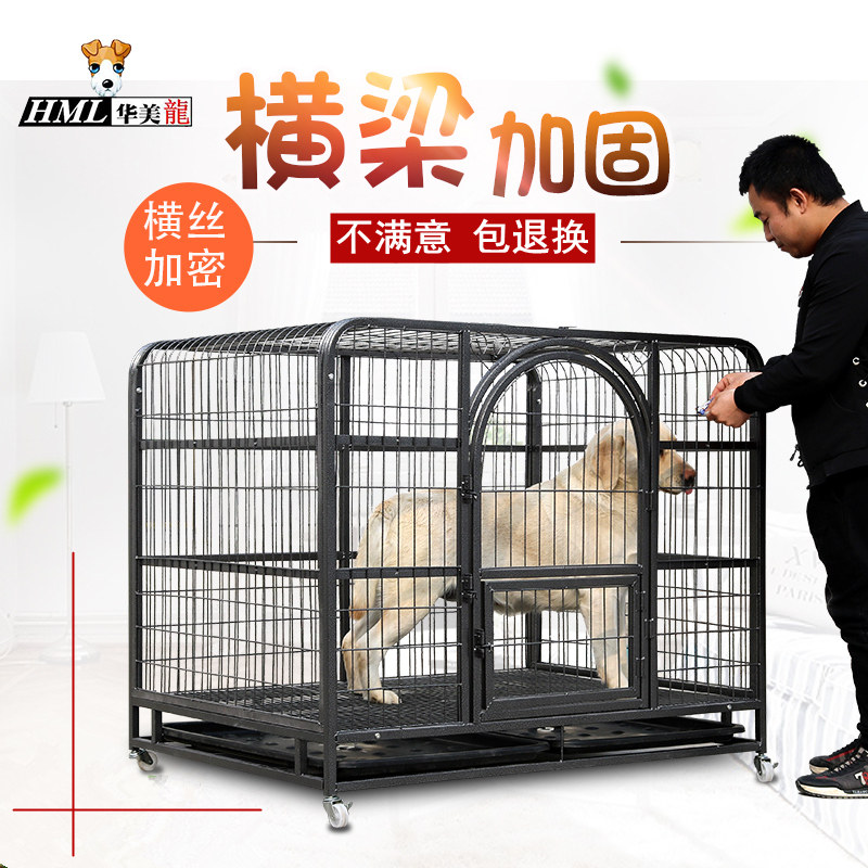 大美宠物用品专营店官网 品牌旗舰店铺大全