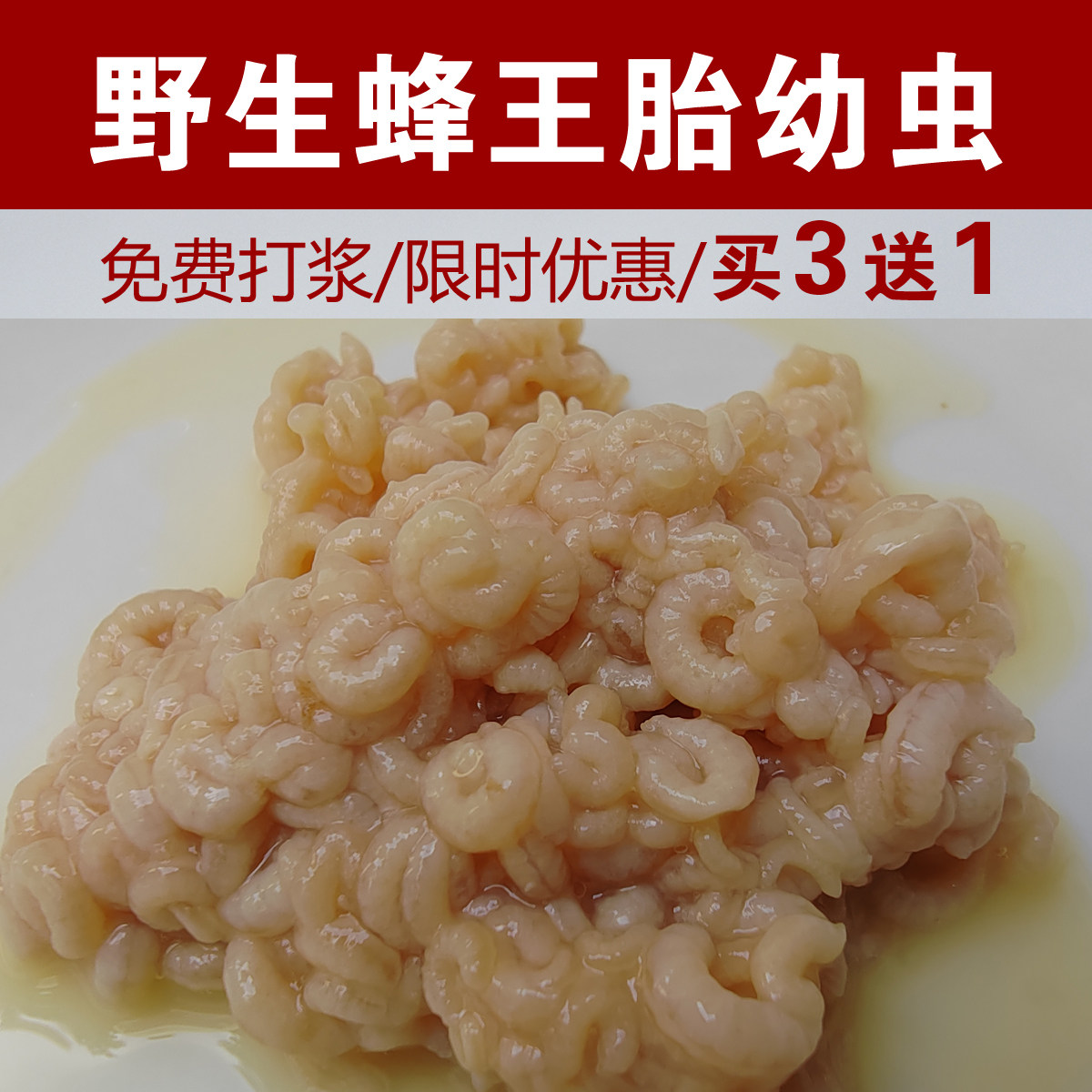 2026新鲜野生蜂王胎虫速冻天然意蜂雌蜂蛹蜜蜂幼虫卵纯正蜂王幼虫