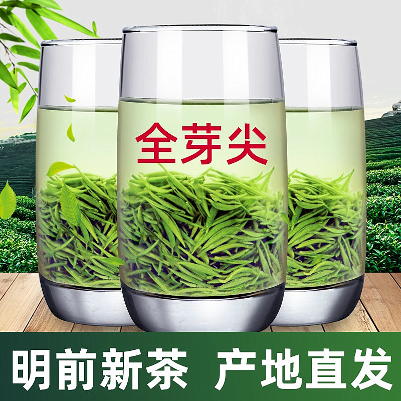 信阳毛尖特级嫩芽250g春茶送杯