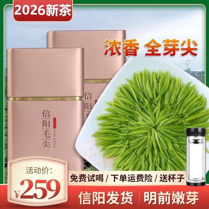 毛尖茶叶绿茶信阳毛尖2026新茶特级嫩芽明前头采罐装颗颗嫩芽250g