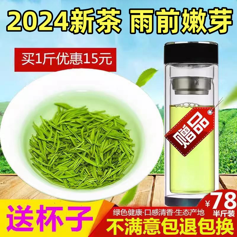 毛尖茶叶 信阳毛尖2024新茶 绿茶茶叶特级嫩芽雨前春茶散装浓香型