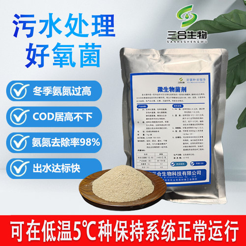 污水处理菌种好氧菌厌氧菌