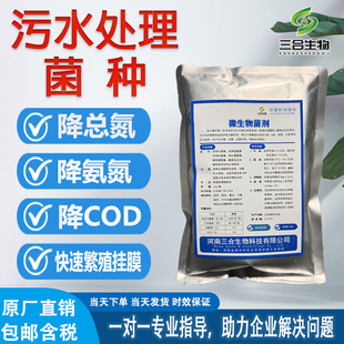 污水处理菌种 好氧菌种 厌氧菌种 复合菌 降COD氨氮总氮 反硝化菌