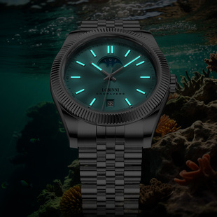 罗宾尼2023新款手表男机械表正品夜光男士手表品牌官方旗舰店十大