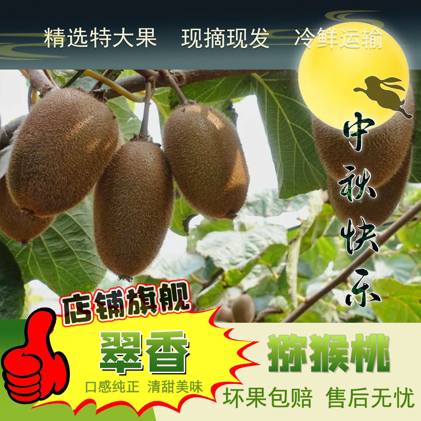 陕西渭南  6斤 翠香 猕猴桃  果园直发 冷鲜运输 包邮
