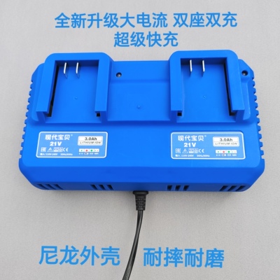 大艺款充电器双充座充电宝转换器48V88VA3/2106通用款锂电池快充