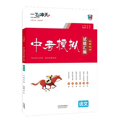 一飞冲天中考模拟试题汇编
