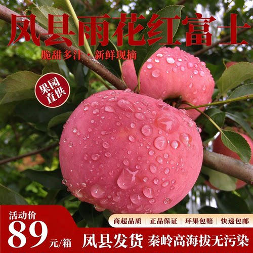 陕西秦岭凤县高海拔脆甜苹果