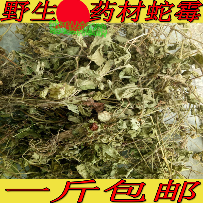 野生中药材蛇霉 干货蛇泡草  地杨梅 疗疮药 地莓 三点红一斤包邮
