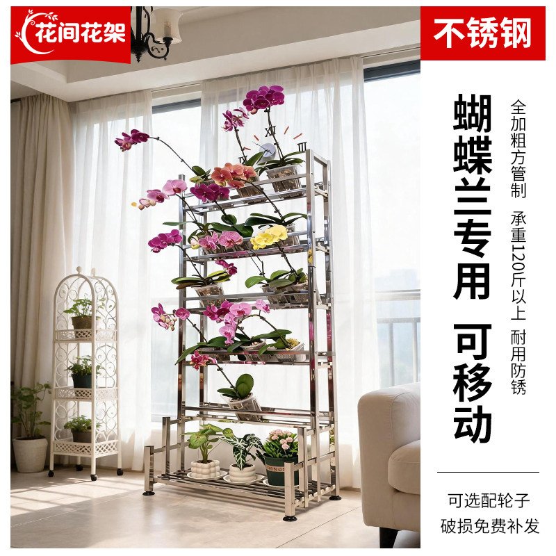不锈钢蝴蝶兰专用移动花架图片