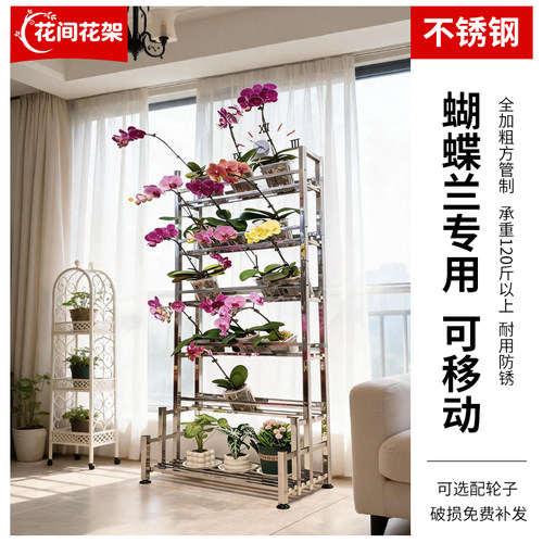 不锈钢蝴蝶兰专用移动花架