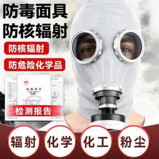 防核工业污染防毒面具防核全面具全面罩军工级防毒防辐射用品装 备
