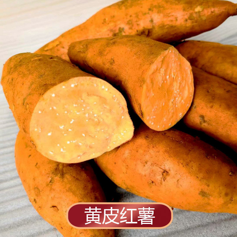 贵州黄皮红薯5斤红心番薯蜜薯新鲜甜薯特产地瓜初荷农庄直销蔬菜