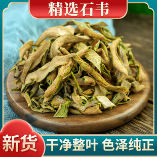 石韦中药材正品小叶石苇500g特级石韦草刀口药鸡内金钱草滑石包邮