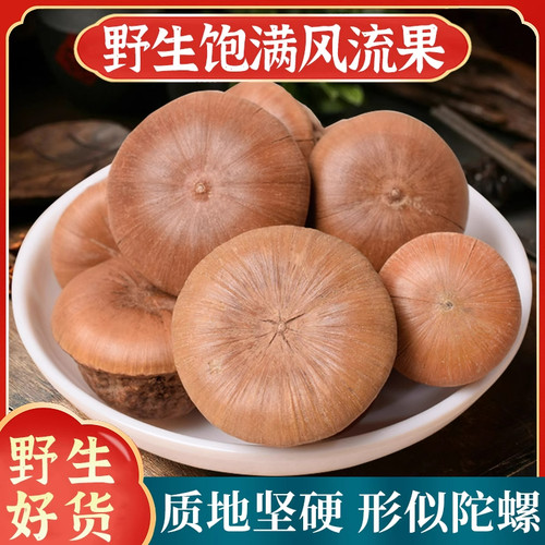 广西风流果500g克野生龟头子