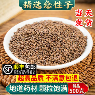 急性子中药材500克 凤仙花子 指甲花籽 正品新货精选 急性籽药材