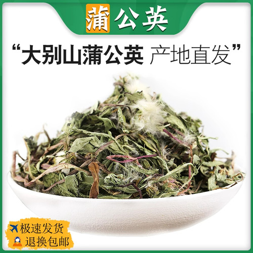 中药材蒲公英草整根正品干货