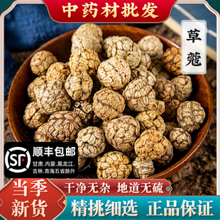 草蔻500g克 草寇仁草豆蔻草寇草扣小草蔻老蔻粉卤料香料调料大料