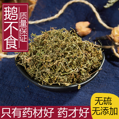 鹅不食草中药材500g新鲜干货