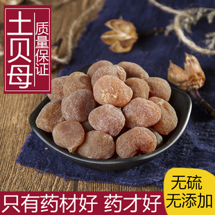 野生土贝母中药材地苦胆草贝大贝母中药500g  土贝藤贝母垒贝包邮