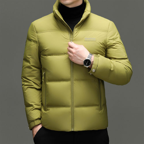 短款长袖拉链款100g(含)-150g(不含)防风羽绒服