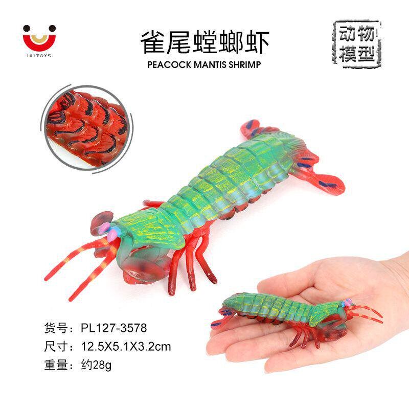 仿真海洋动物模型虾蛄皮皮虾 雀尾螳螂虾 七彩螳螂虾摆件认知玩具