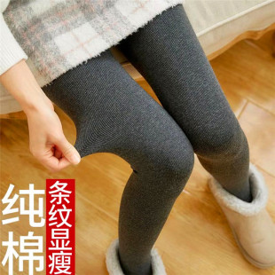 纯棉女加绒薄绒打底袜秋冬季竖纹打底裤保暖外穿连裤袜子女乎呜呜