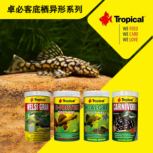 波兰卓必客底栖异形鱼饲料高蛋白藻类下沉坦克鼠鱼胡子大帆鱼食