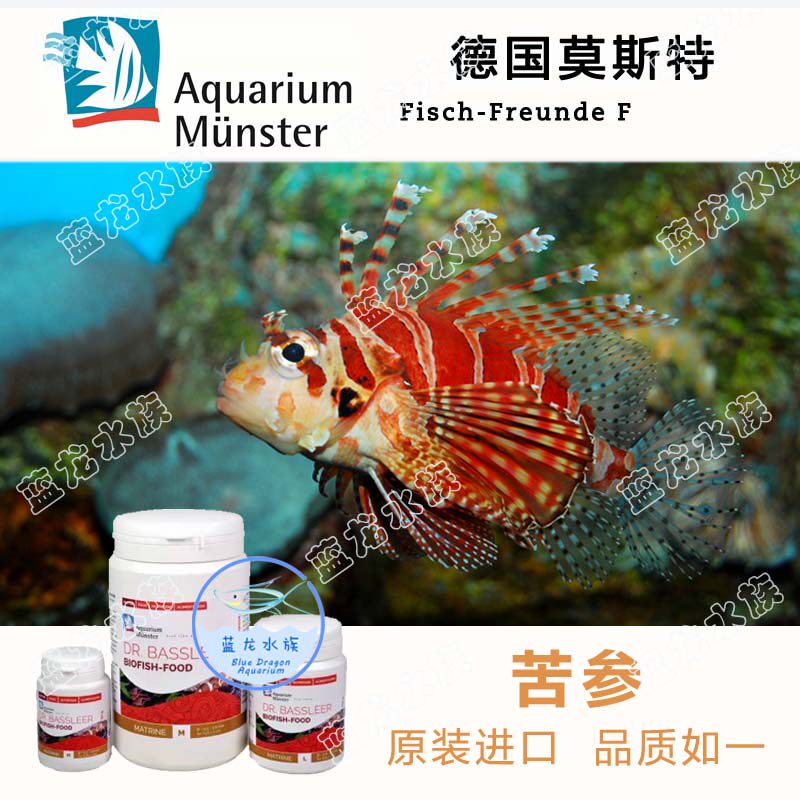 德国莫斯特南瓜 拉帕乔 巨藻 苦参 灯鱼斗鱼慈鲷增强抵抗饲料鱼食