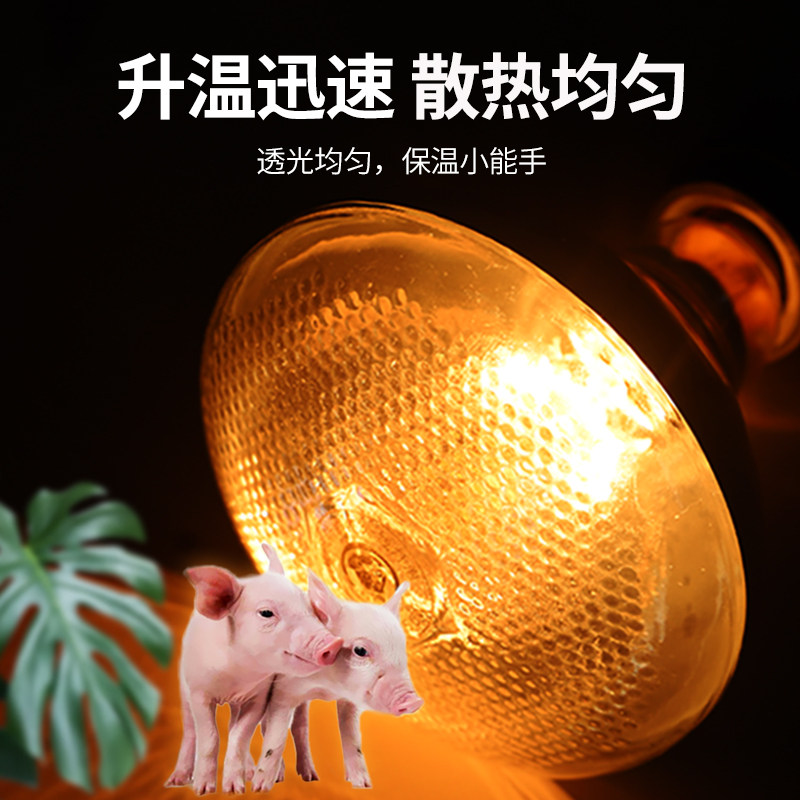 兽用保温灯加温小鸡育雏畜牧养殖场专用仔猪加热宠物猪用取暖灯泡